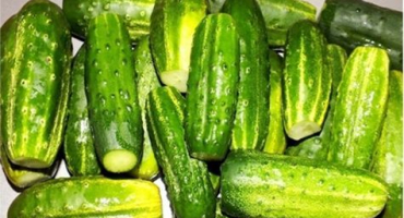 Recept, jak vařit kremelské horké okurky na zimu